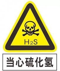 硫化氢气体的出厂检测规则